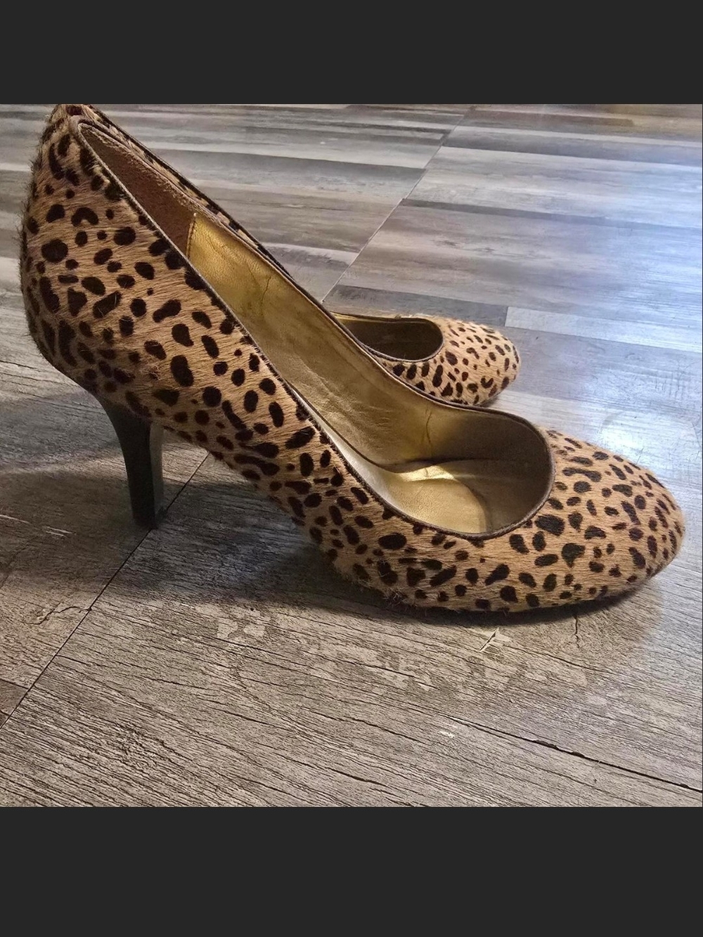 Poetic License Leopard Print Faux-Hair Pumps in Brown and Black